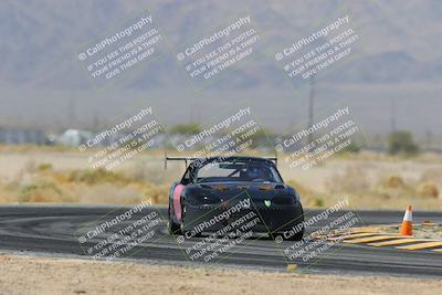media/Mar-30-2025-Pro Autosports (Sun) [[34ff8f16e0]]/2-Blue-White Group/Main Race/
